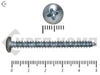 Шуруп с полукруглой головкой DIN7981 4,8х50 (20шт)